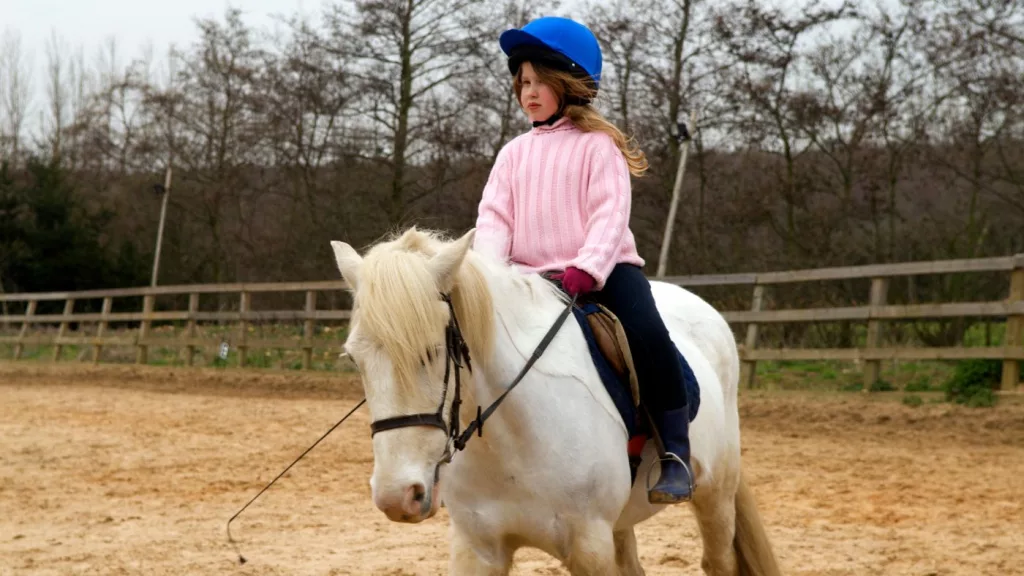 Woodgate Valley Hole Farm Trekking Centre in Birmingham