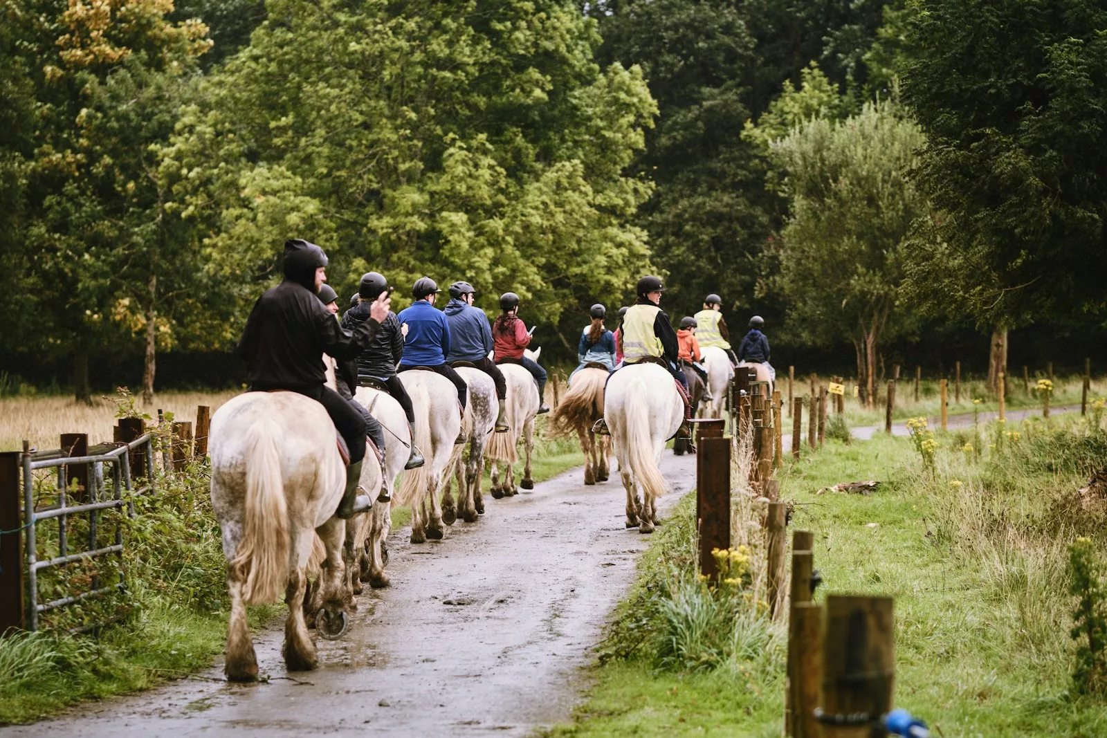 Organising a Summer Sports Outing in Birmingham: Transportation Tips