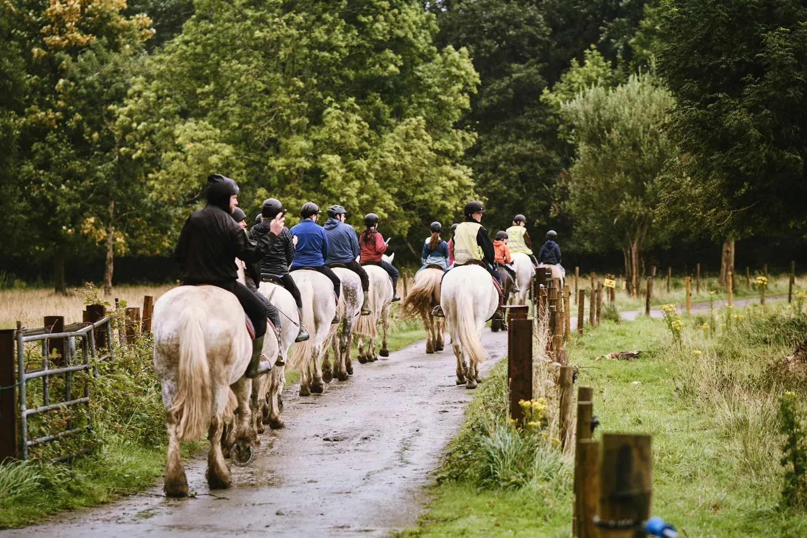 Organising a Summer Sports Outing in Birmingham