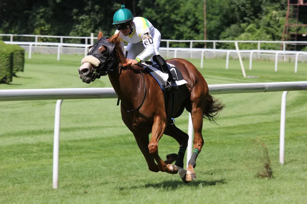 Royal Ascot Horse Races