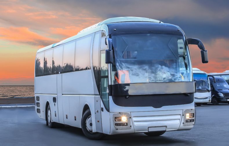 Minibus vs Coach: What’s Best for Your Trip?