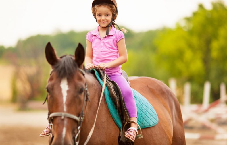 Hire Our Minivans for a Family Day of Horse Riding in Birmingham