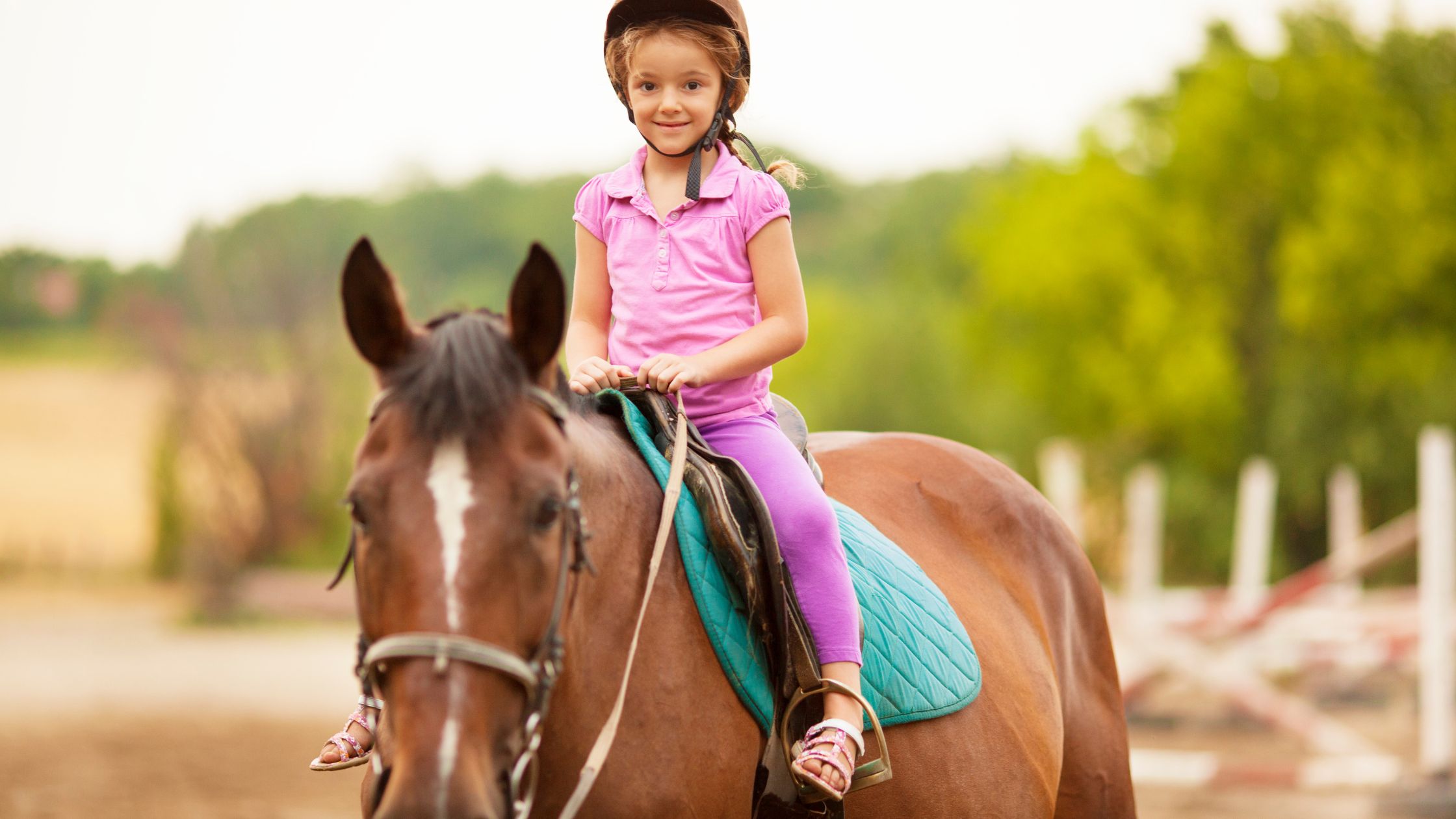 Hire Our Minivans for a Family Day of Horse Riding in Birmingham